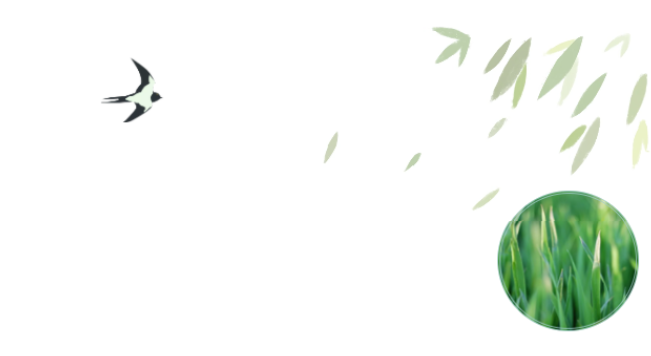 员工随笔丨抗“疫”过年，，各人都还好吗？？？