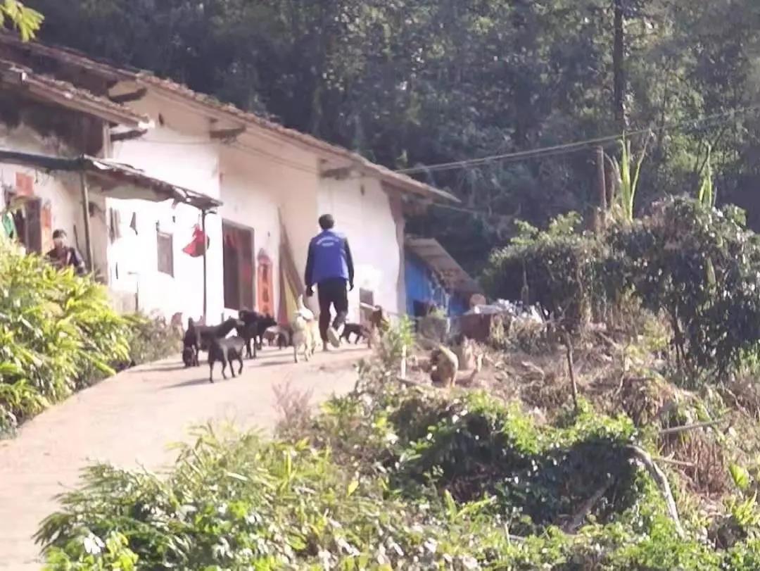 阳春房地一体项目纪实丨无悔青春多砥砺，，最是奋斗感人心