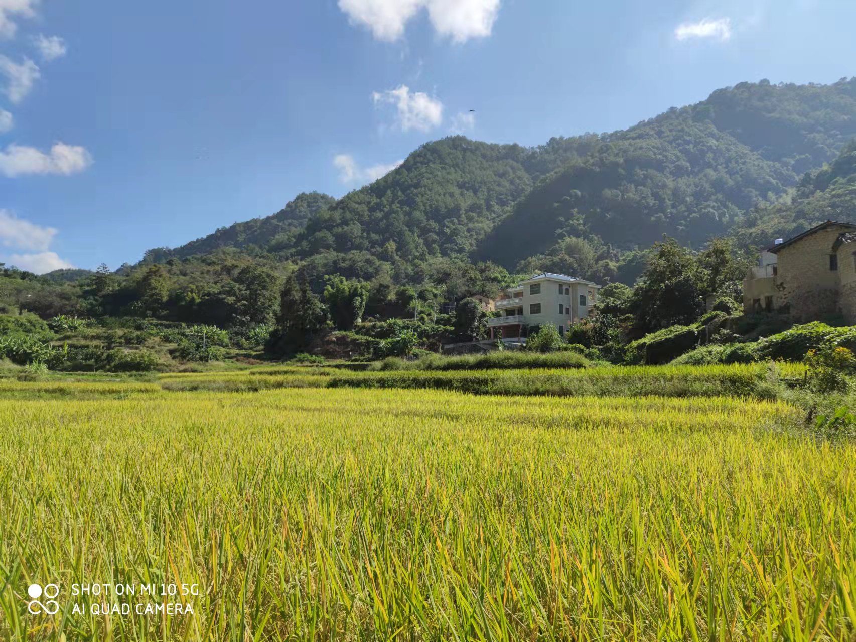 恢复（增补）耕地项目怎么干？？W66最给力的老牌娱乐有话说