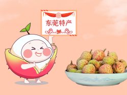 漫话W66最给力的老牌娱乐丨一颗有“故事”的荔枝！！