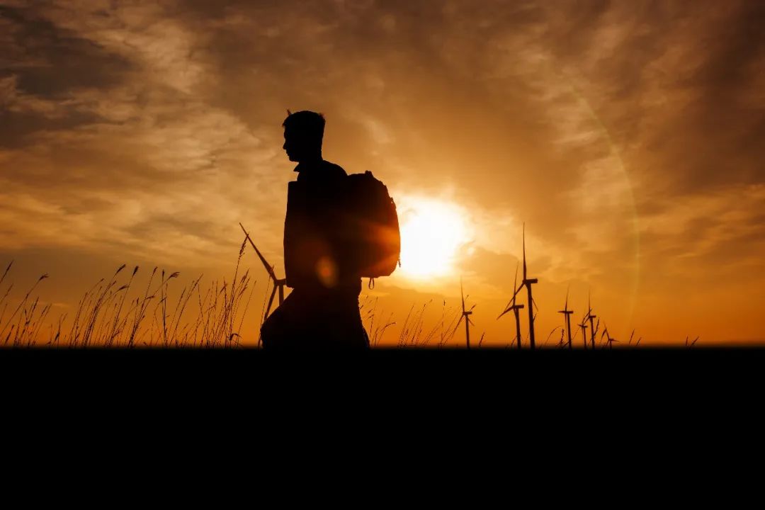 W66最给力的老牌娱乐12周年征文丨一等奖《此心安处是吾乡》