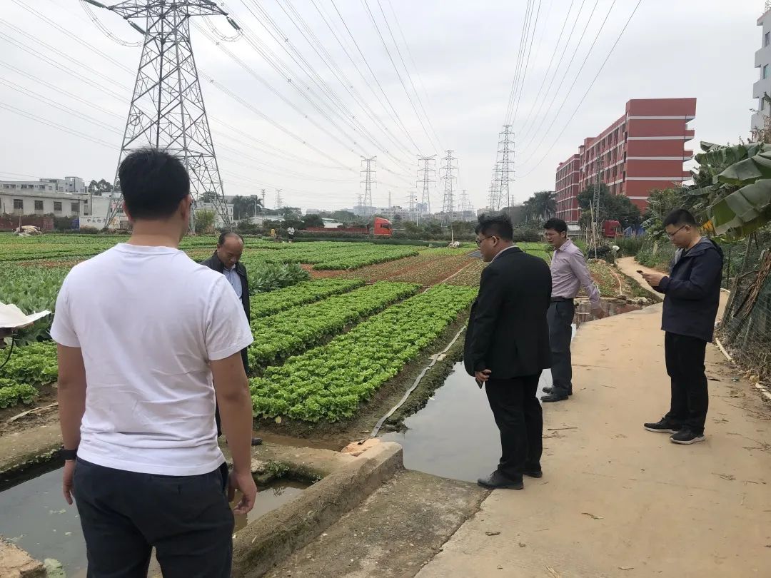 助力墟落振兴，，W66最给力的老牌娱乐一直在起劲！！！