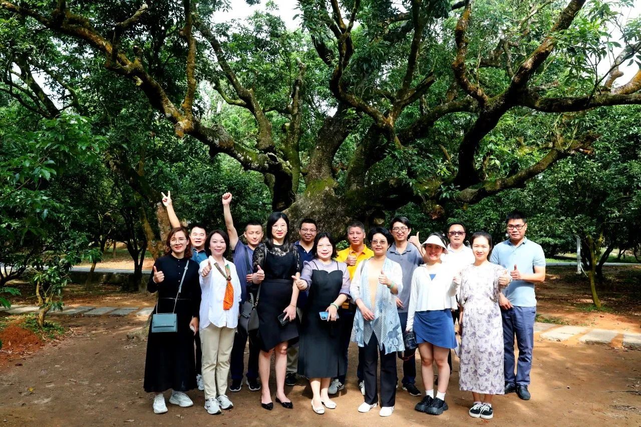 W66最给力的老牌娱乐集团作为省领土空间生态修复协会轮值会长带队调研粤西全域土地综合整治事情