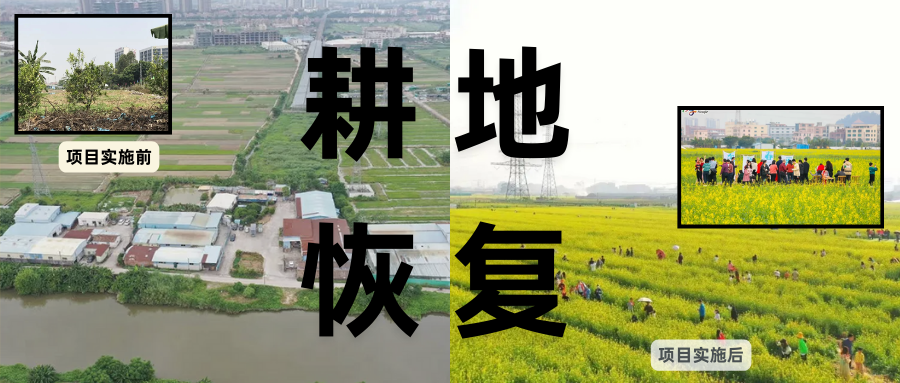 耕地；；；び刖蒙す踩凇甘泻窠终蛩谏缜读继锵钅扛鼗指从氤窍缛诤系牧⒁焓导