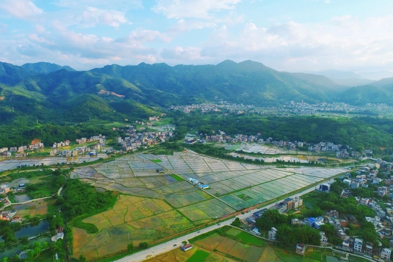 W66最给力的老牌娱乐集团丨“百万万工程”显实效：：云浮罗定泗纶镇以全域土地综合整治为抓手，，绘就墟落振兴新画卷